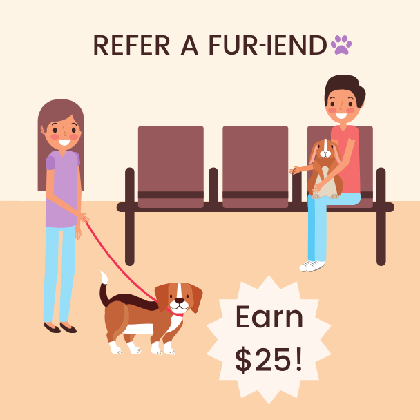 Refer a fur-iend